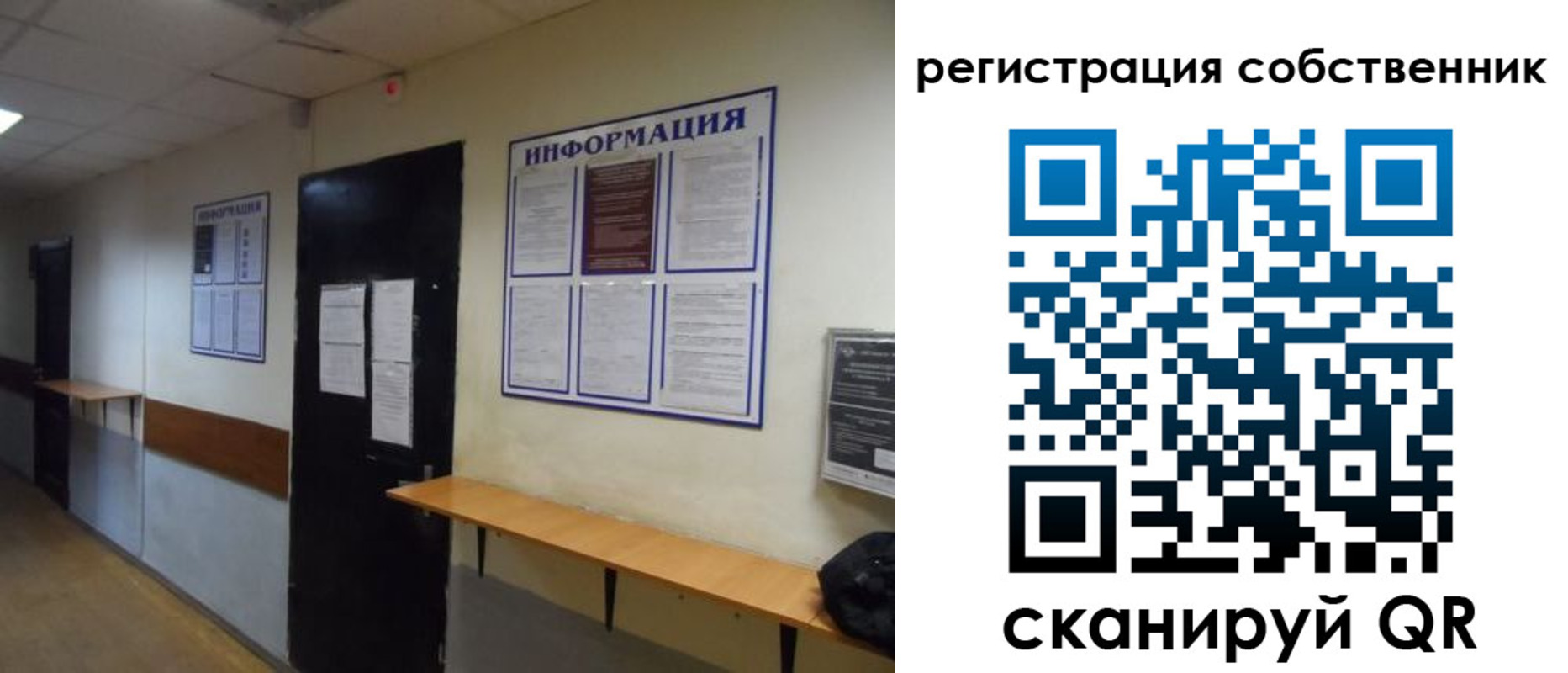 временная регистрация госуслуги в Светлом